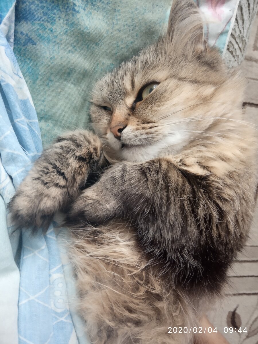 Это когда начал ложится был её взгляд