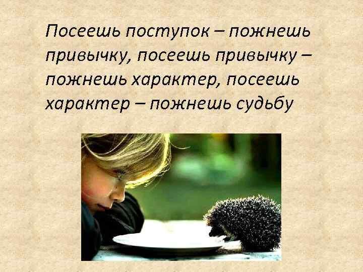 Из открытых источников.