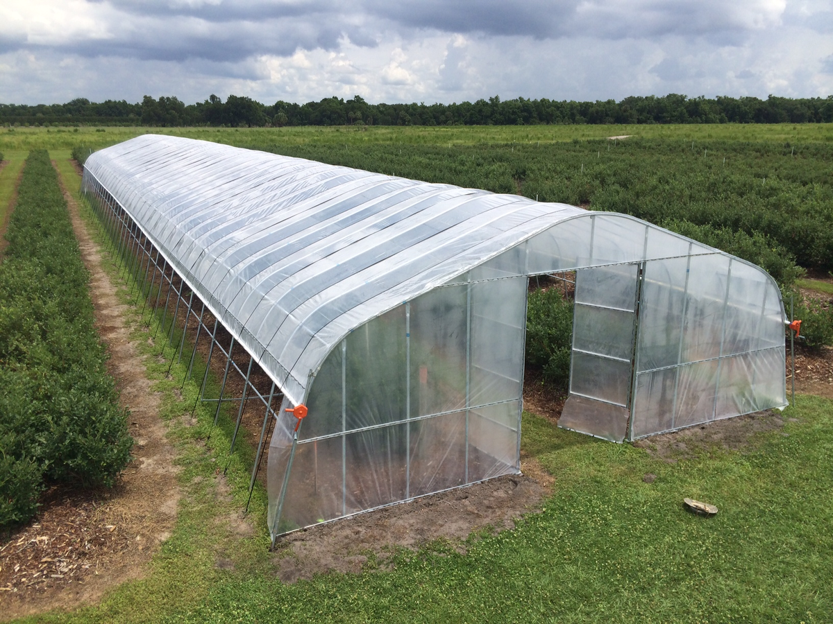 Парник Greenhouse. Теплицы Green House Greenhouse теплицы. Теплица пленочная Светлица. Парник Greenhouse т-21.