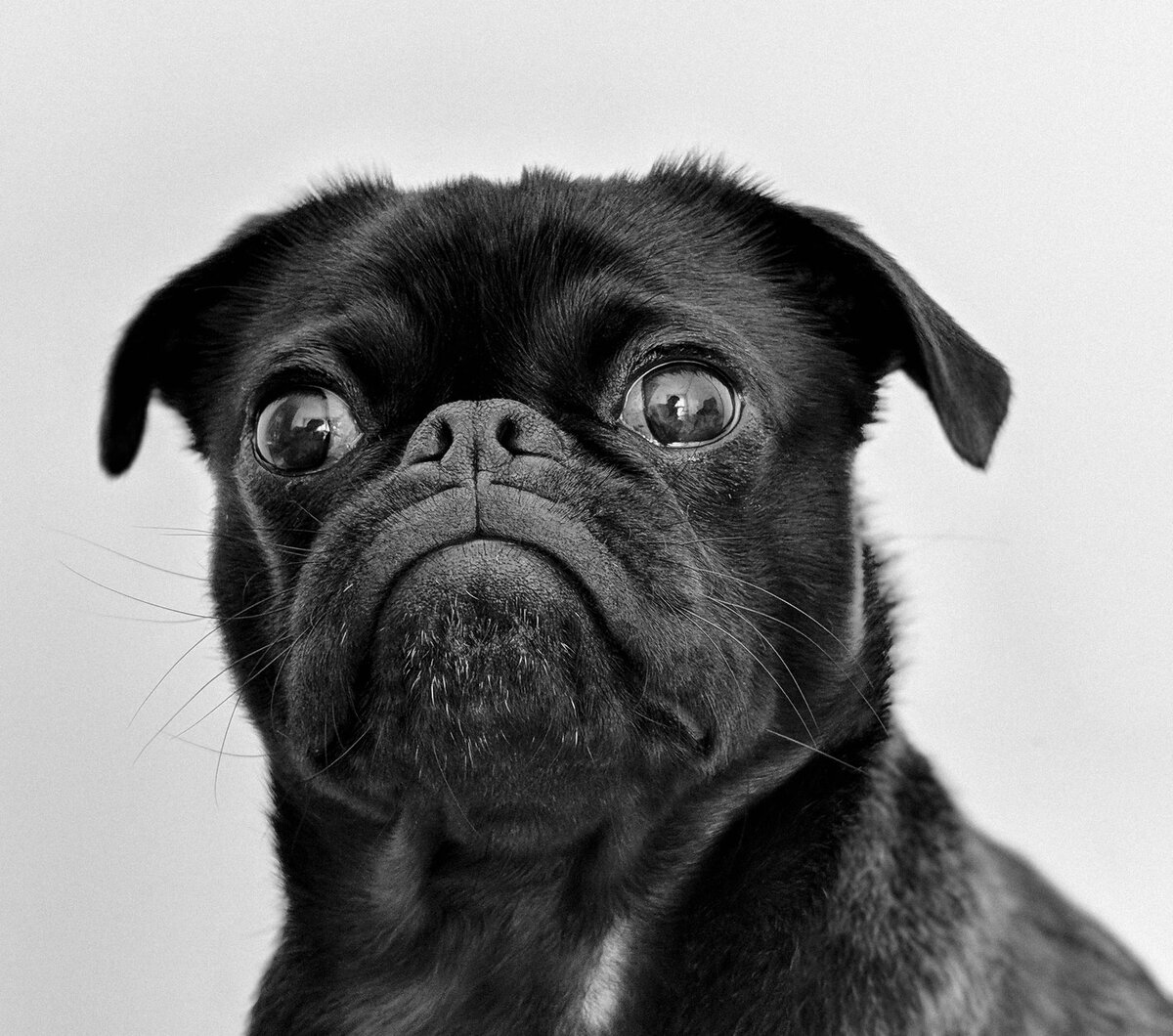 Фото с unsplash.com. Автор Charles Deluvio