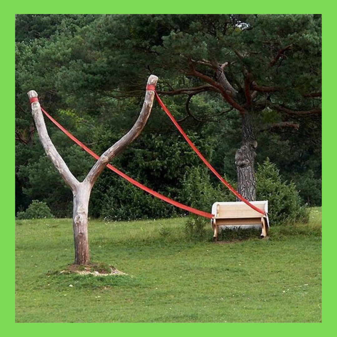 Фото из интернета 