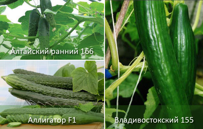 Источник: yandex.ua