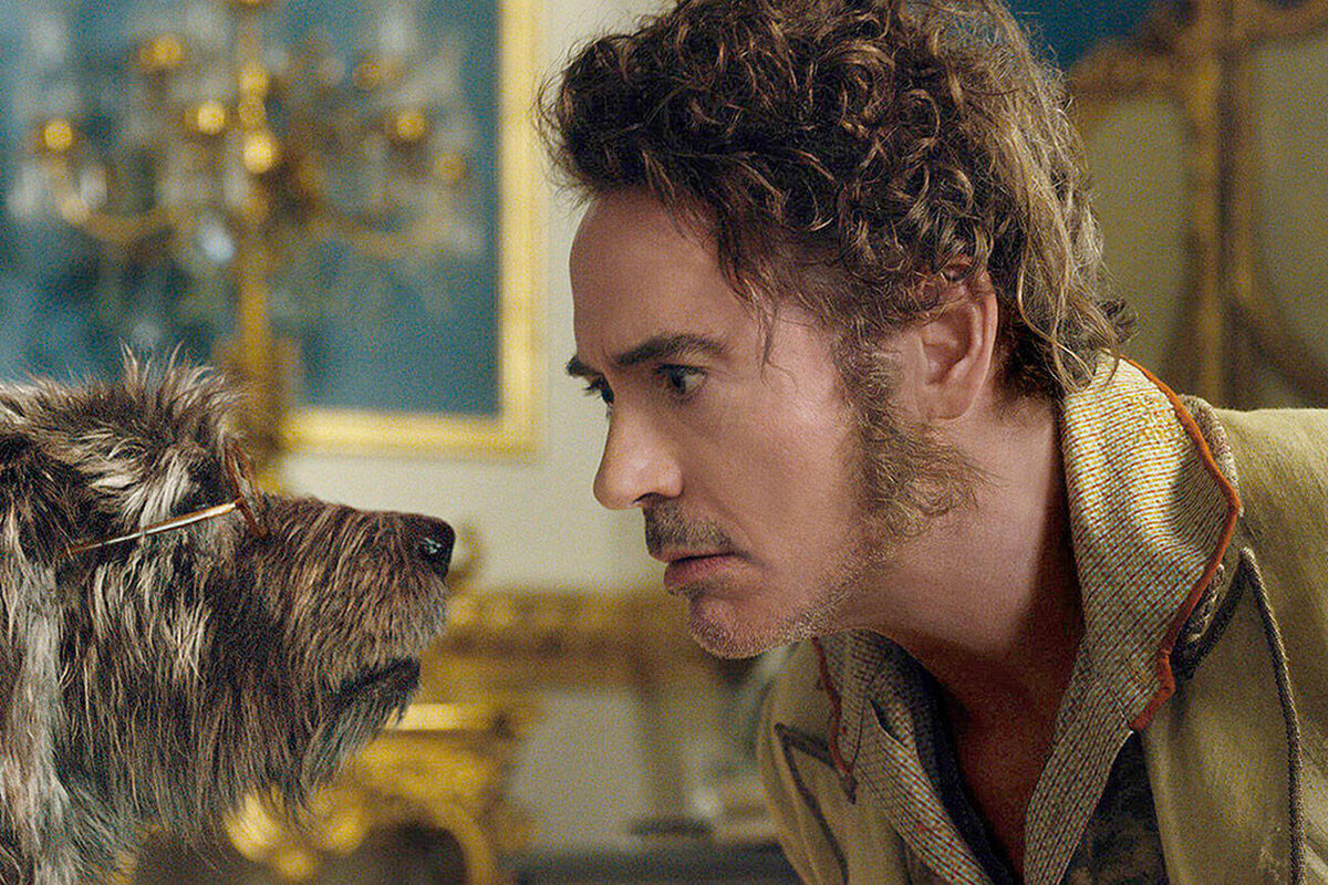 Если проще описать , то представьте себе примитивные мультфильмы для детей двух - трёх лет , где всё шумит , мельтешит и не имеет никакого смысла и тогда сможете понять , что конкретно из себя представляет "Удивительное путешествие доктора Дулитла". Для взрослого зрителя данная картина может показаться метамфетаминовым трипом Дауни младшего , снова подсевшего на наркотики , в котором он в образе умалишенного лекаря проводит досуг с нарисованными зверями , страдающими не столько от физических , сколько психологических недугов. Эх , верните мне мой 98й , в котором Эдди Мерфи хотя бы мог насмешить.