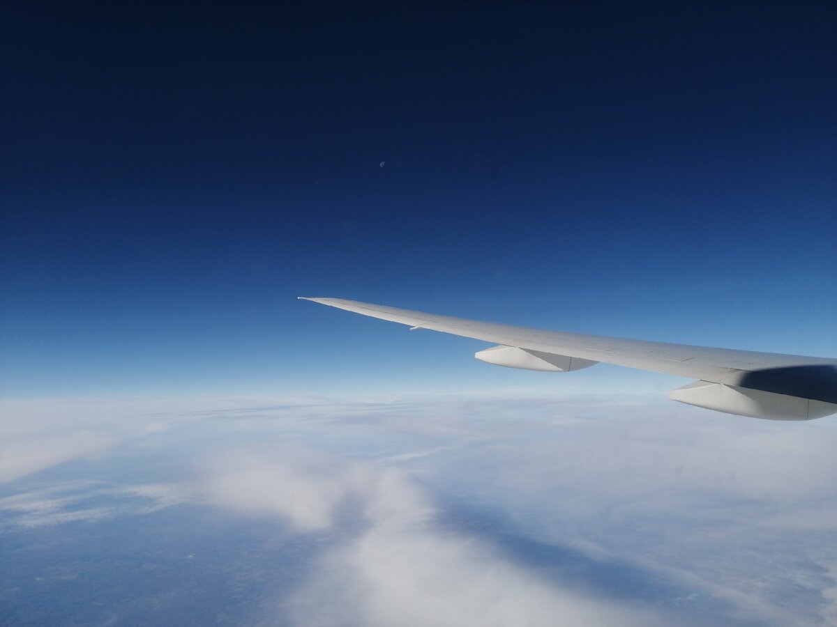 Под крылом самолета. Фото Светы Давыдовой