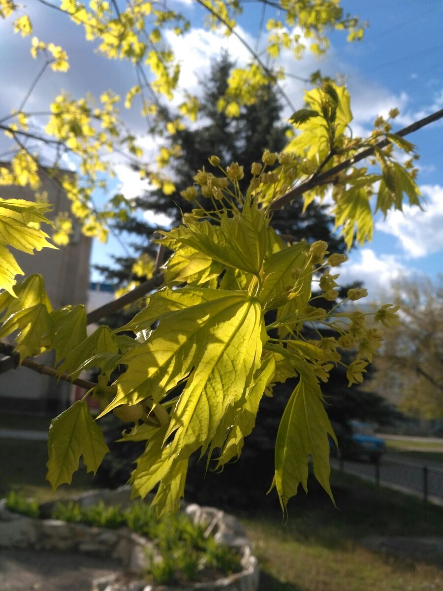 Вам всего лишь 45+ У вас еще достаточно энергии и желания создавать, творить, жить для себя (ведь дети уже взрослые), радоваться жизни.  Но…
Всегда есть это «но»:
- затянулись "тлеющие" воспаления, которые периодически обостряются,
- повышается артериальное давление и бывают даже гипертонические кризы,
- не отпускают головные боли, боли в сердце, в мышцах и суставах,
- повышается сахар,
- постоянная раздражительность или апатия...
Когда вы жалуетесь врачу то обычно отвечают:
«…Что же вы хотите? Возраст…»
И хочется кричать: «Какой возраст?! Мне еще жить и жить!
Я хочу, чтобы каждый год жизни после 45-ти нёс радость, здоровье и прекрасные возможности! Я хочу легко и беззаботно гулять с внуками, а не быть в старости обузой для своих детей!»
Это крик души! И разве  кто-то скажет этому «НЕТ»?
.
🤸‍Вот таких энтузиастов, которые хотят и могут двигаться вперед и только вперед, я приглашаю на практический семинар:
«ПРОТИВОВИРУСНЫЙ ИММУНИТЕТ
С ГОМЕОПАТИЧЕСКИМ ДЕТОКСОМ»
5-го мая в 19.00 Мск/Киев
На семинаре вы узнаете, как противостоять вирусам, вывести токсины из организма и снова стать таким, как 20 лет назад. А также получите точный план, который в будущем всегда сможете применять.
И буквально через 2 недели, ощутите:
- лёгкость в движениях суставов;
- артериальное давление постепенно придет к норме;
- голова станет лёгкой и светлой, уйдут боли;
- появится приятное ощущение свободы в груди, нормализуется сердечный ритм
- снизятся показатели сахара, нормализуется работа желудочно-кишечного тракта
- уйдёт изжога и горечь,
- появятся силы, ясность мысли и энергия будет бить ключом (Ощутите, небывалый приток энергии)
Стоимость практического семинара 330 грн /890 руб /$12
ВНИМАНИЕ, БОНУС! 
Те, кто оплатит семинар до 1 мая 19-00,при желании пройти индивидуальную консультацию, получит скидку 50%  Поторопитесь!!!
Запишитесь по ссылке: http://simpoll.ru/run/survey/1aea877a
 
Берегите себя и Помните, только Вы, способны изменить себя!
