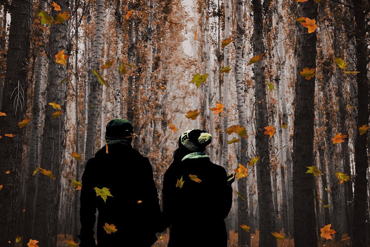 источник pixibay