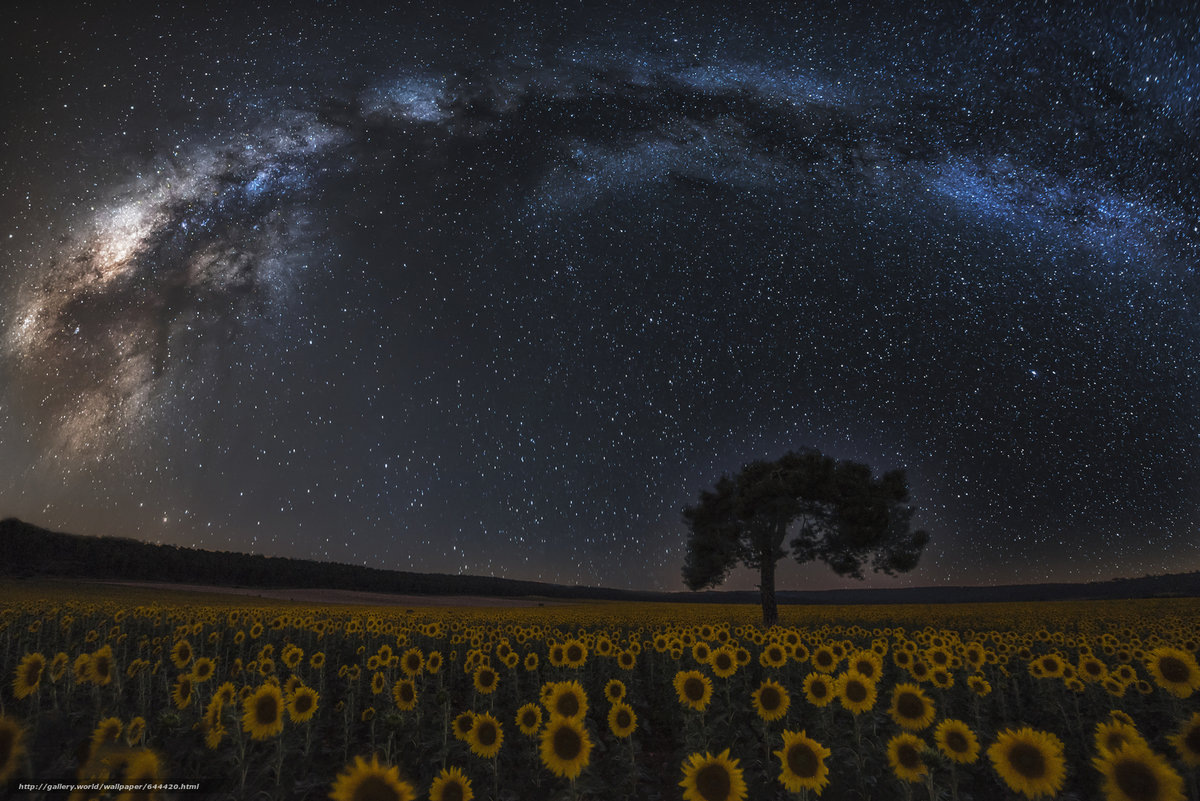 Вид на фрагмент галактики Млечный Путь с одной из множества планет 