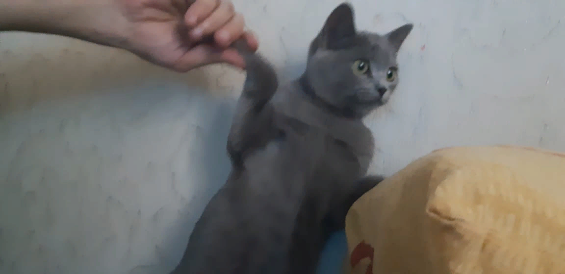 Фото из личного архива