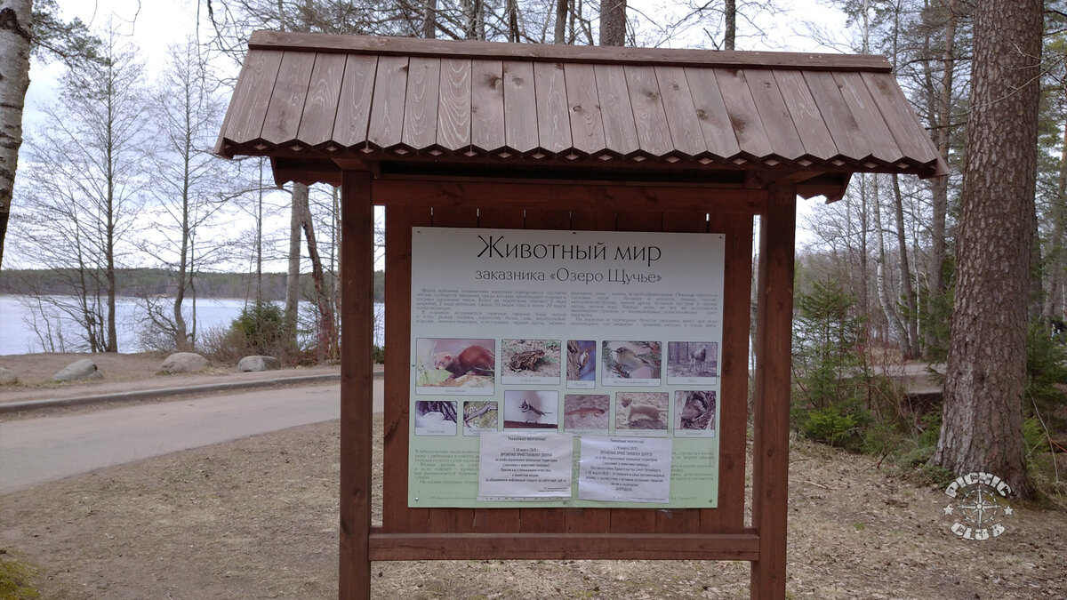 Государственный природный заказник Озеро Щучье. National Park Shhuchye Lake  | PICNIC CLUB | Дзен