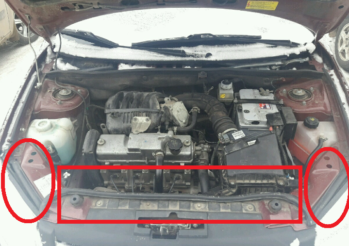 фото из личного архива