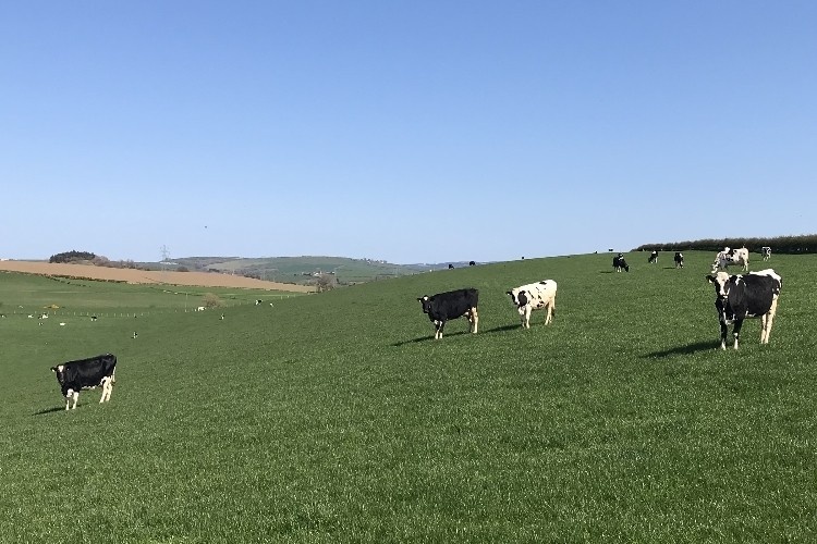 Источник: Dairyreporter.com
