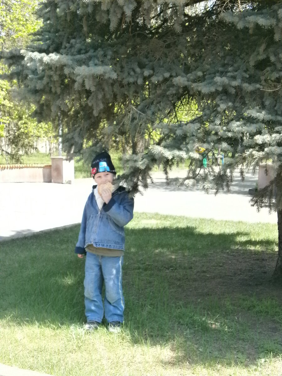 Вдоль центральной аллеи выстроились величественные голубые ели. Мы под ними ели)))