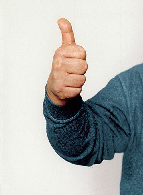 Фото взято из Яндекс.Картинки 