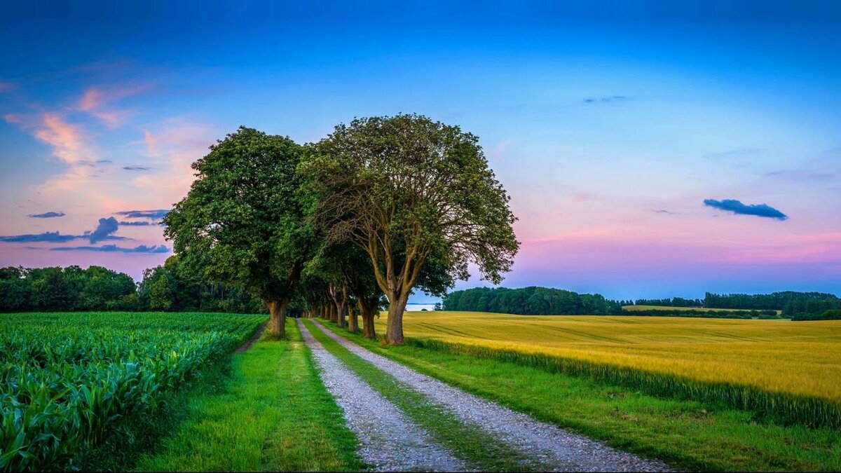 фото с сайта pinterest.ru