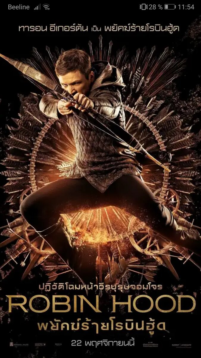 Ветеран Крестового похода лорд Робин Локсли возвращается в родной город Ноттингем и видит, что он погряз в коррупции. Робин присоединяется к группе Весёлых Шервудских Разбойников и становится знаменитым благородным вором, продолжая при этом вести светскую жизнь для слежки за ноттингемским шерифом.