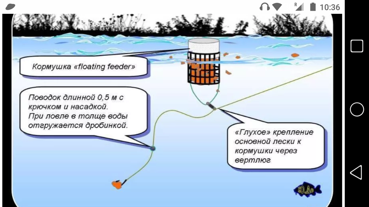 Принципы ловли. Плавающая оснастка для фидера. Снасть для фидера плавающая кормушка монтаж. Монтаж плавающей кормушки на фидер. Пружинные кормушки для фидера оснастки.