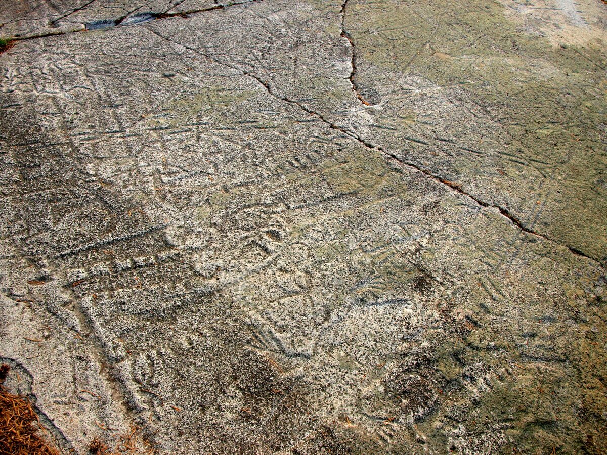 Петроглифы в мурманске фото