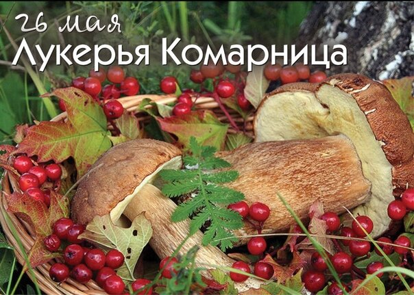 Лукерья Комарница.