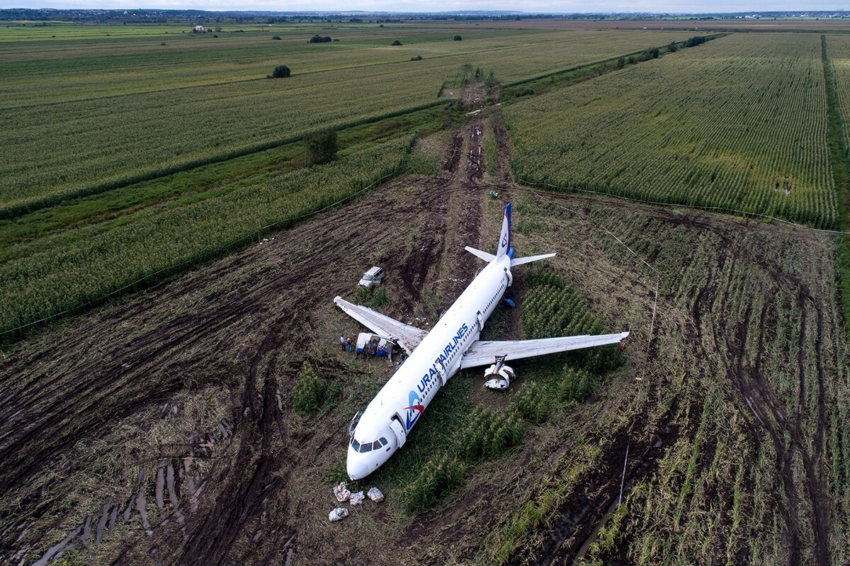 Сели в поле самолет. Уральские авиалинии кукурузное поле. Самолет Эрбас 321. Самолёт а321 Уральские авиалинии.