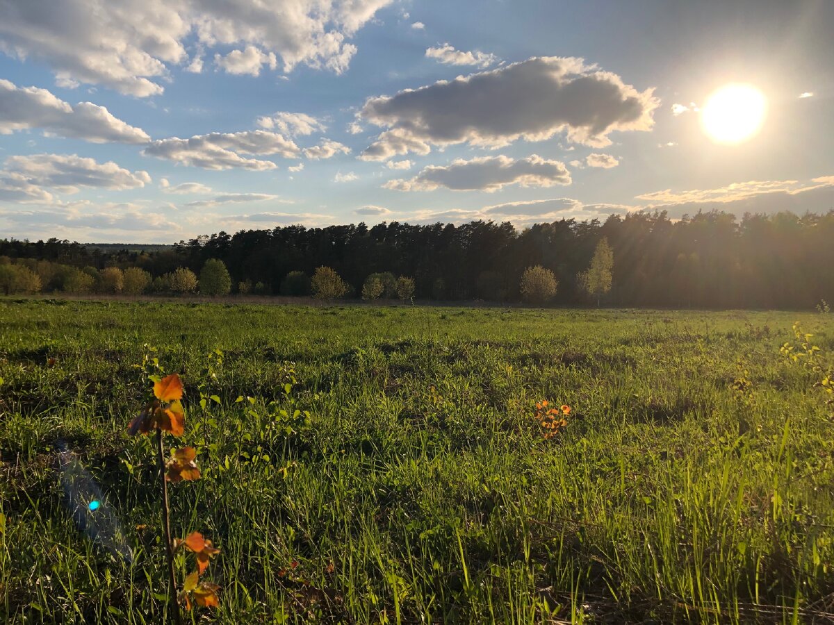 Не забывайте, у Вас есть внутренний голос. Автор фотографии «Фуря»
