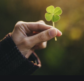 Ваше благородие, госпожа удача :)