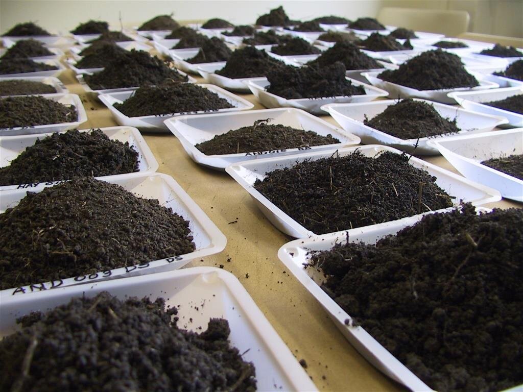 пробы грунта для строительства.