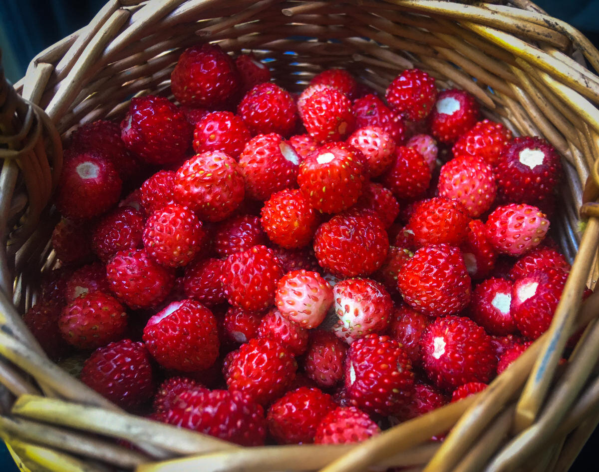 Изменяют грибам с земляникой (фото пользователя Kashtan)