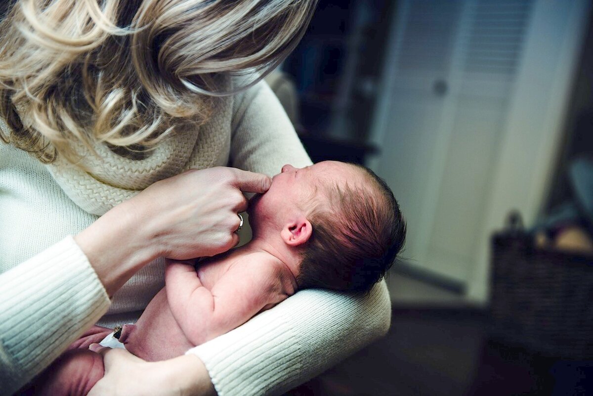 Фото: pixabay.com