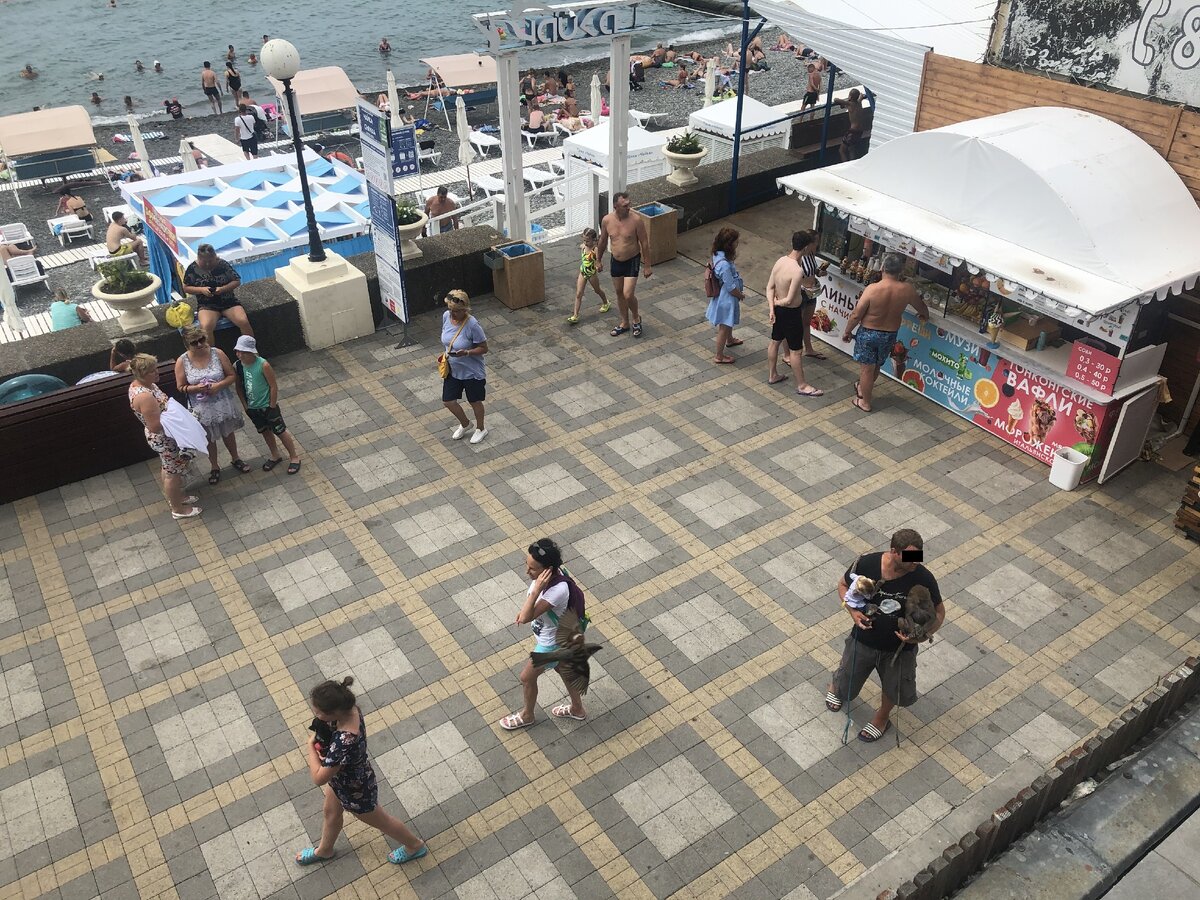 эксплуатация животных