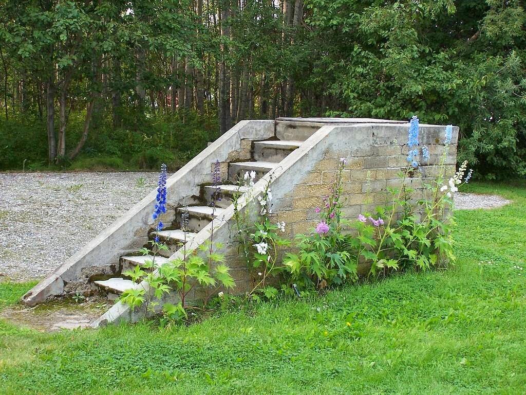 фото с сайта Pinterest (С)