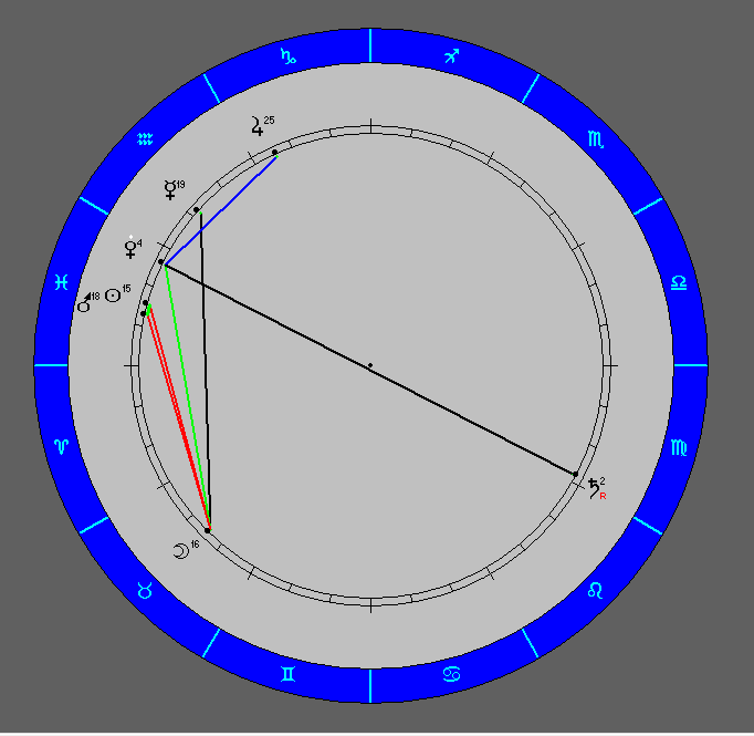 Космограмма Бернара Арно (септенер)