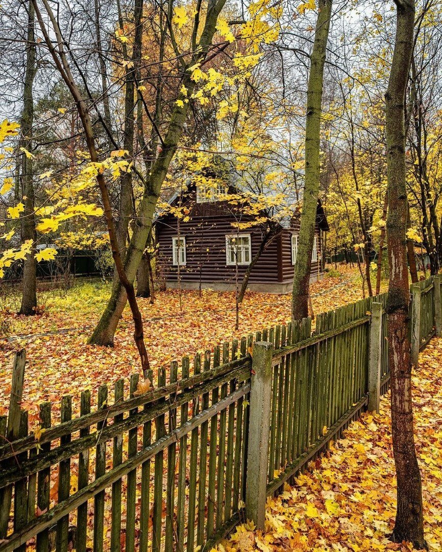 Фотография Елены Крижевской  
