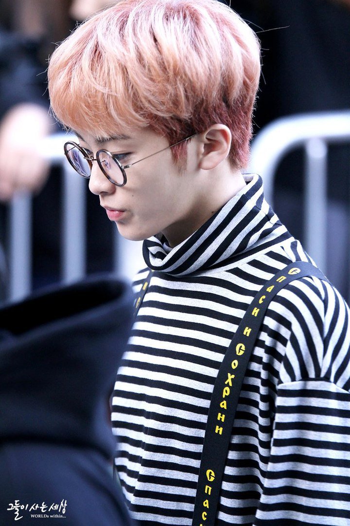 Яндекс картинки 