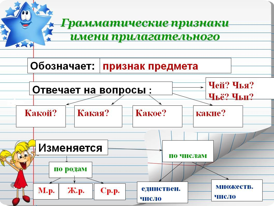 Назовите признаки имени существительного. Грамматические признаки имен прилагательных 4 класс. Грамматические признаки прилагательных 3 класс. Грамматические признаки имени прилагательного 2 класс. Грамматические признаки прилагательного 4.