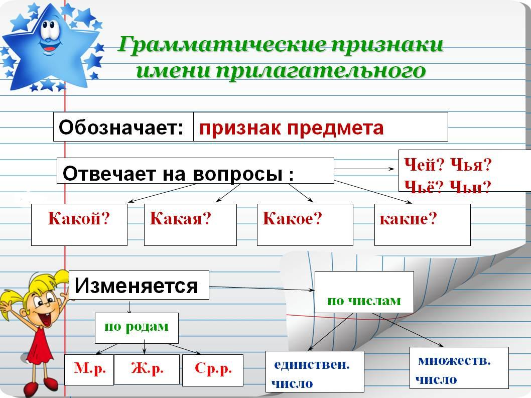 Отвечает вопрос обозначает предмет. Грамматические особенности прилагательных 3 класс. Грамматические признаки имен прилагательных 4 класс. Грамматические признаки прилагательных 3 класс. Грамматические признаки имен прилагательных 3 класс.