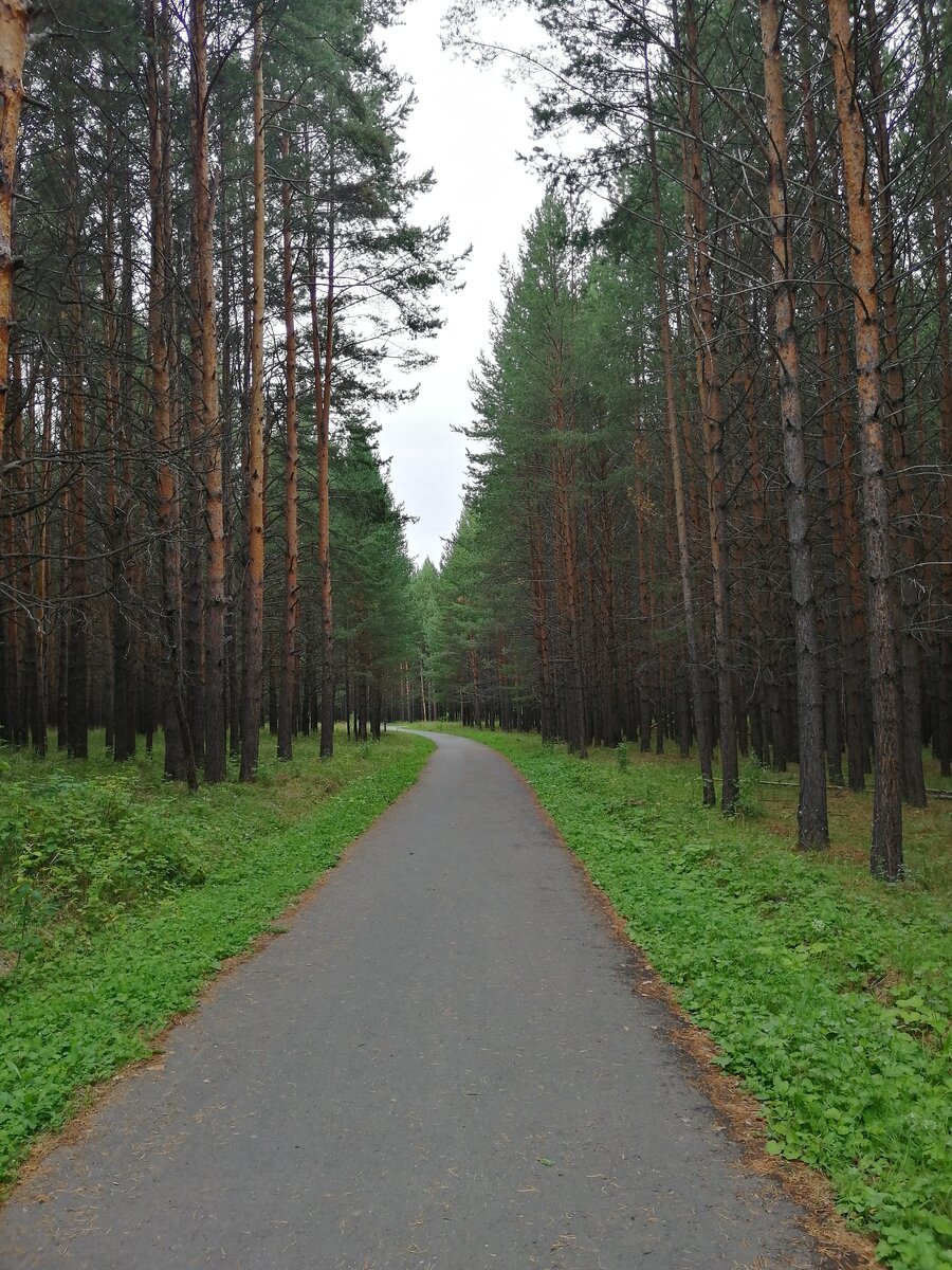 тишь и благодать.....