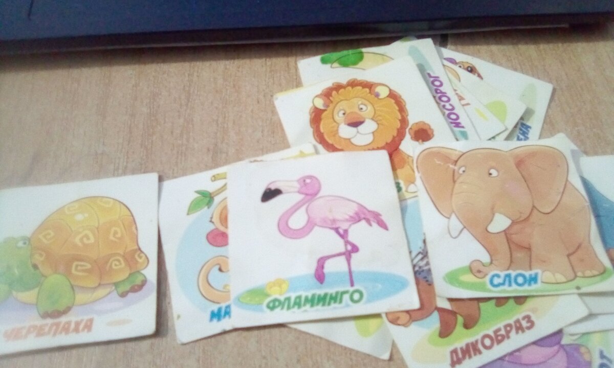 обратная сторона карточек