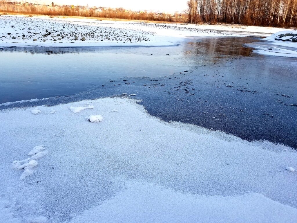 Вода затопила луга. Река просыпается ото льдамыото. Таяние снега в Горном Алтае. Катунь вышла из берегов. На Алтае из-за промерзания воды вышла из берегов река.