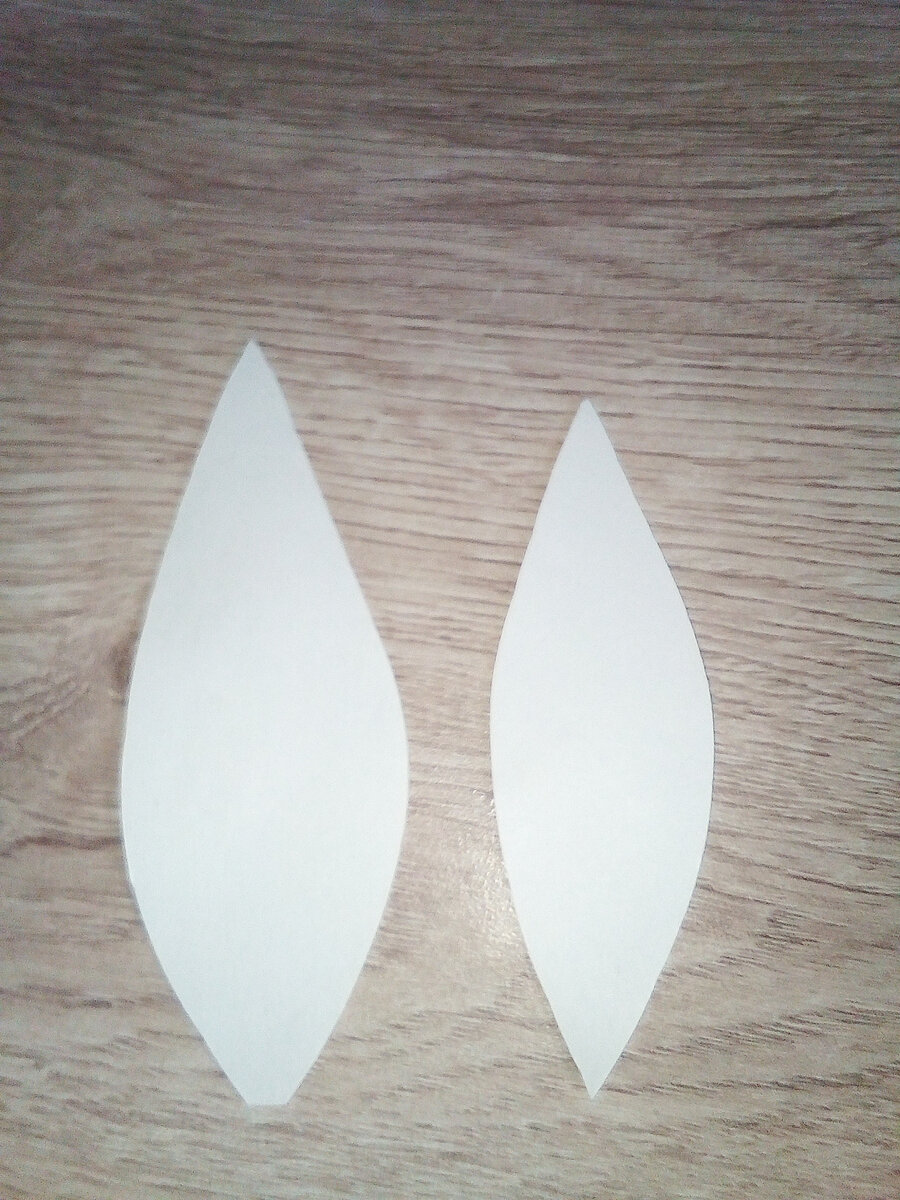 Лепестки на бумаге.