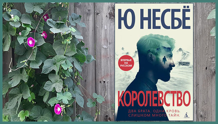 Несбе Ю. Королевство: роман / Ю Несбе; пер. с норв. А, Наумовой, Д. Гоголевой. – СПб.: Азбука-Азбука-Аттикус. 2020. – 576 с.  