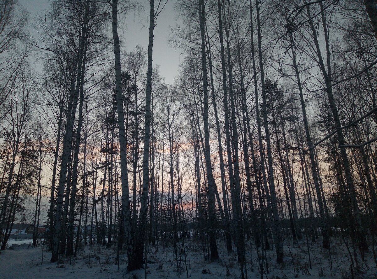 Глухое место