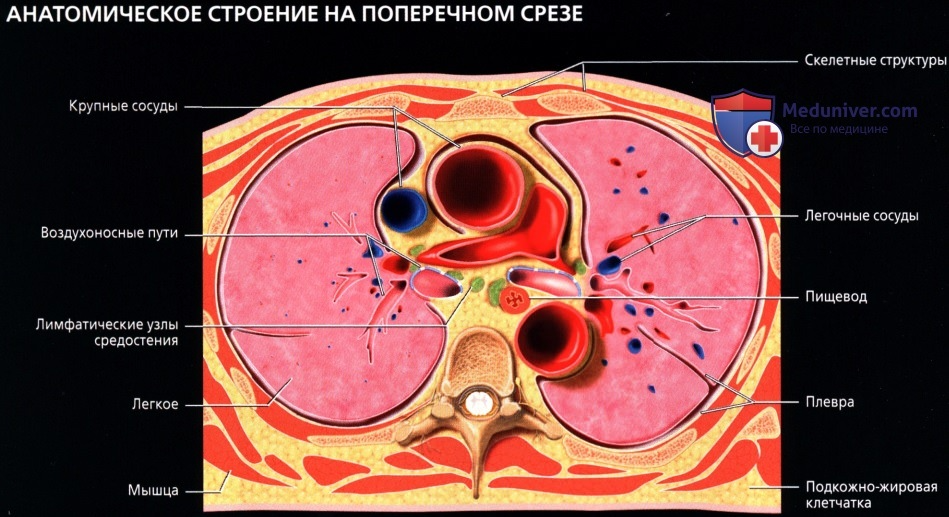 С просторов интернета