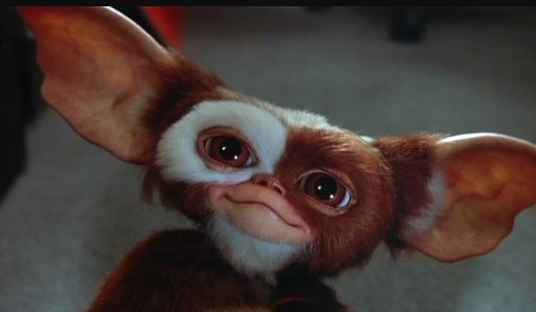 Кадр из фильма "Гремлины". Источник: Яндекс. Картинки 