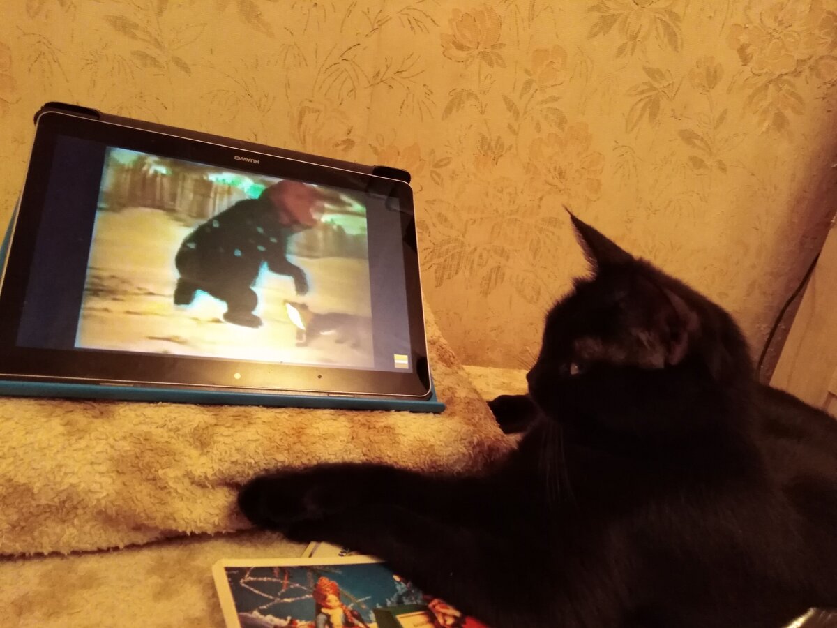 Так его! Так его!