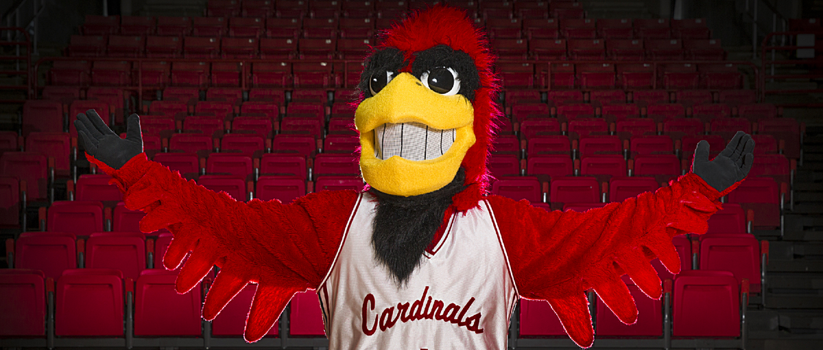 Чарли Кардинал - талисман университета Болла