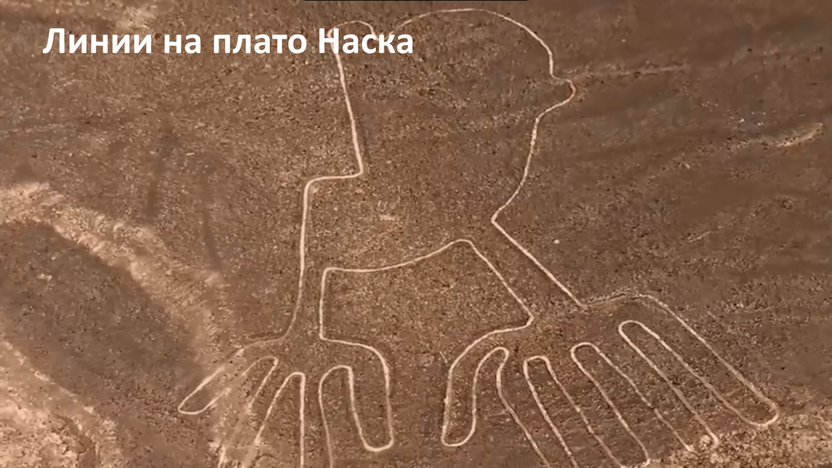 Линии на плато Наска
