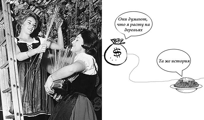 макаронное дерево