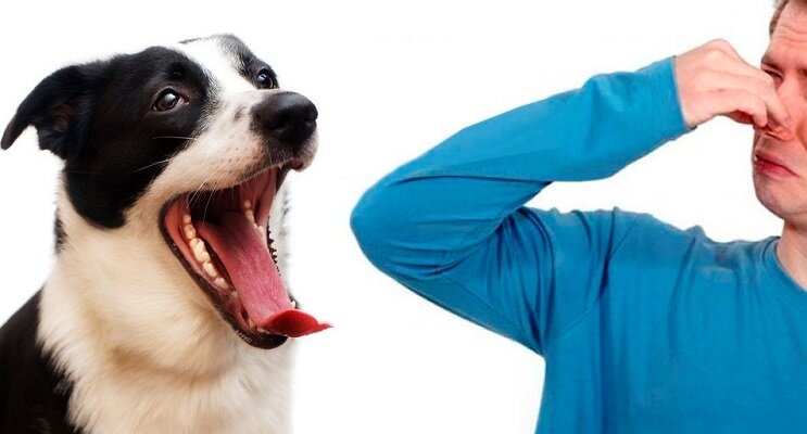 Фото для иллюстрации. Источник Яндекс Картинки.