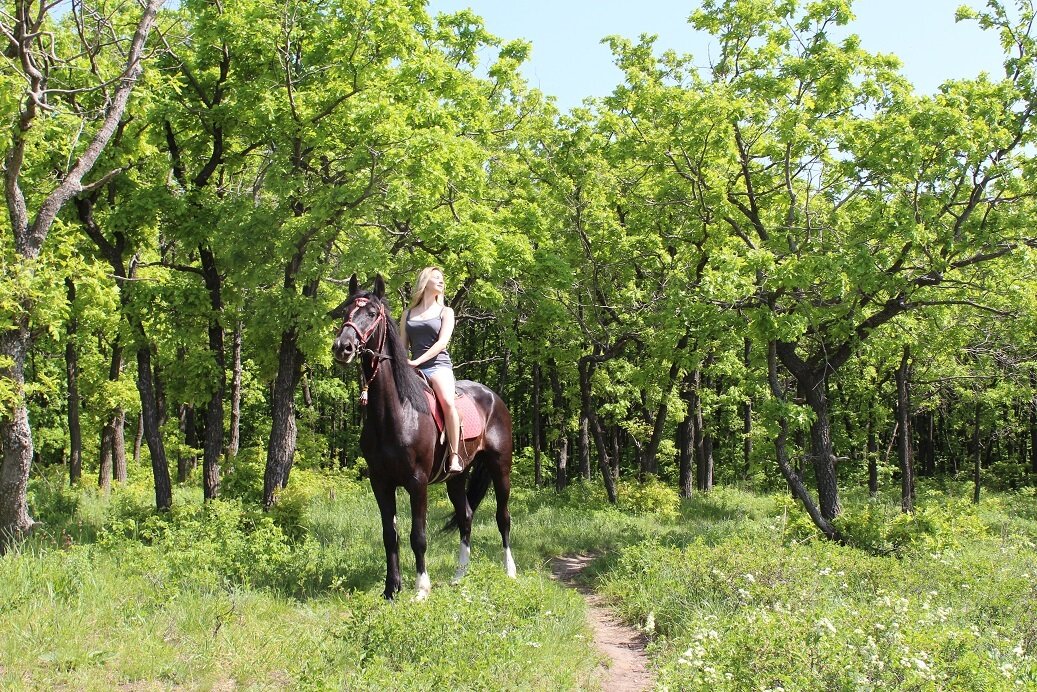 все фото - автора