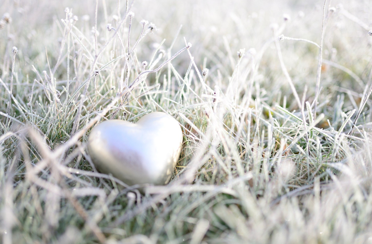 pixabay.com/